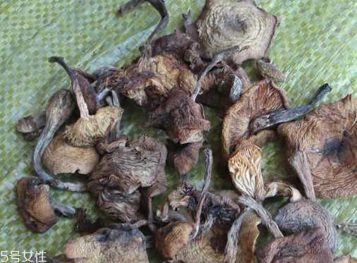 榛蘑能保存多久？干榛蘑怎么保存最好？