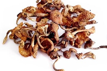 榛蘑可以帶到國(guó)外嗎？榛蘑可以帶上動(dòng)車嗎？