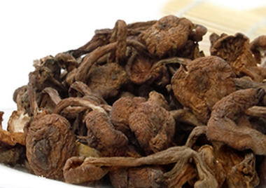 榛蘑可以煲鴨肉嗎？榛蘑可以煲鴨肉