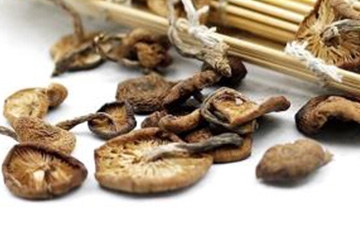 榛蘑可以煲鴨肉嗎？榛蘑可以煲鴨肉