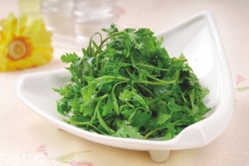 菊花腦可以給小孩吃嗎？小孩能吃菊花腦嗎？