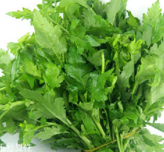 菊花腦是苦的嗎？菊花腦苦不苦？