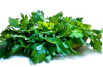 菊花腦和南瓜能一起吃嗎？菊花腦能和水果一起吃嗎？