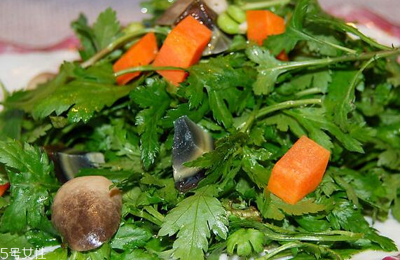 菊花腦怎么挑選？菊花腦選購(gòu)技法