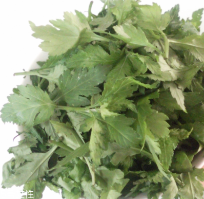 菊花腦怎么挑選？菊花腦選購(gòu)技法