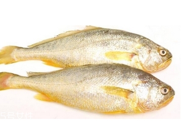 黃花魚清蒸多長時間？黃花魚清蒸的做法