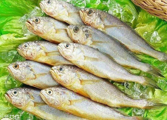 黃花魚(yú)去鱗嗎？黃花魚(yú)去內(nèi)臟嗎？