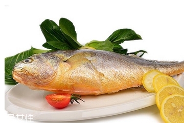 黃花魚為什么都是死的？死黃花魚可以吃嗎？