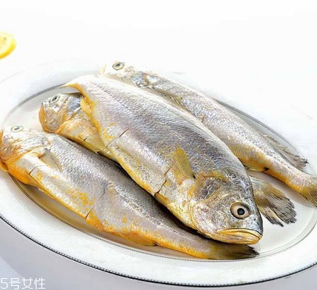 黃花魚為什么都是死的？死黃花魚可以吃嗎？