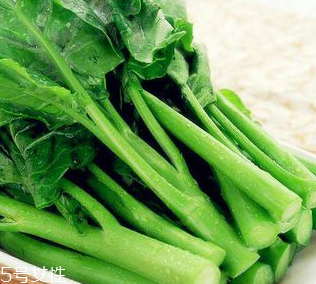 芥蘭是芥菜嗎？芥蘭和芥菜的區(qū)別