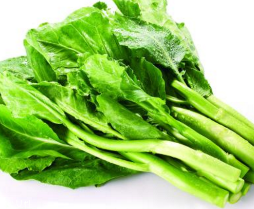 芥蘭是中藥還是蔬菜？芥蘭是蔬菜嗎？