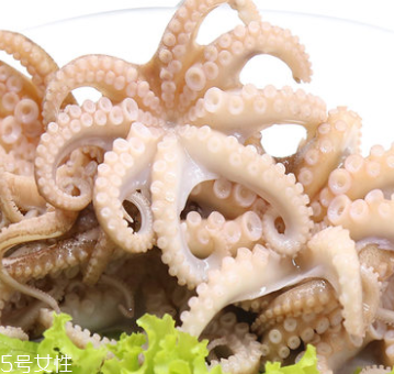 章魚是什么顏色？章魚是什么樣子？