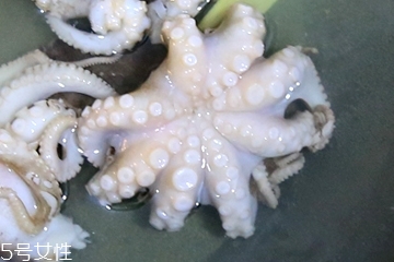 章魚會噴墨汁嗎？章魚的墨汁能吃嗎？