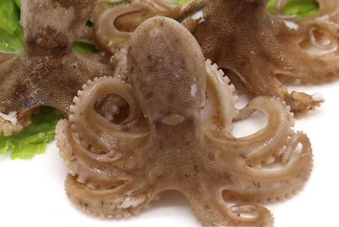 章魚(yú)會(huì)噴墨汁嗎？章魚(yú)的墨汁能吃嗎？