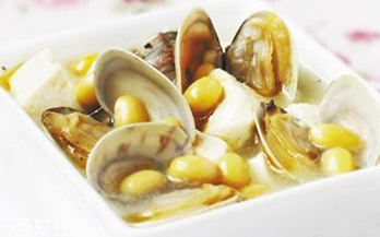 文蛤是不是花甲？文蛤和花甲是同一種嗎？