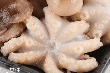 章魚可以炸嗎？章魚能油炸嗎？