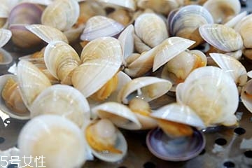 文蛤是淡水還是海水？文蛤是淡水水產(chǎn)嗎？