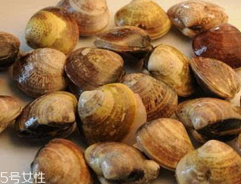 文蛤是冷水煮還是熱水？文蛤是用熱水嗎？