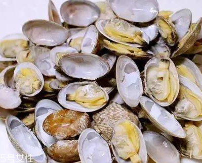 文蛤能做湯嗎？文蛤怎么做湯？