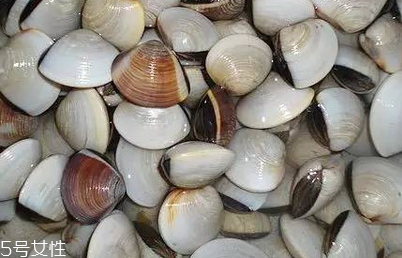 文蛤和花蛤的區(qū)別 文蛤和花蛤是同一種嗎？