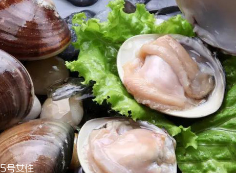 文蛤和花蛤的區(qū)別 文蛤和花蛤是同一種嗎？
