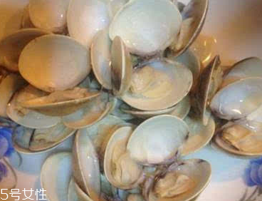 文蛤能給孕婦吃嗎？孕婦能不能吃文蛤？