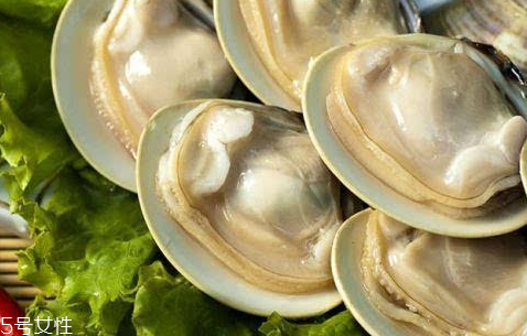 文蛤的養(yǎng)殖 文蛤怎么養(yǎng)？