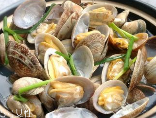 文蛤的養(yǎng)殖 文蛤怎么養(yǎng)？