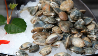 文蛤的選購(gòu)技法 文蛤怎么挑選？