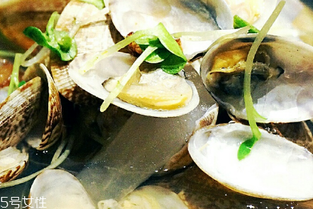 文蛤的選購(gòu)技法 文蛤怎么挑選？