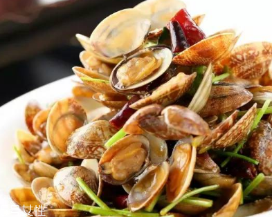 文蛤是堿性的嗎？文蛤是酸性的嗎？