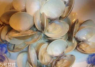 文蛤是寒性還是熱性？文蛤是寒性的嗎？