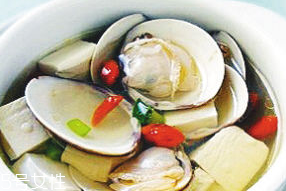 文蛤是寒性還是熱性？文蛤是寒性的嗎？