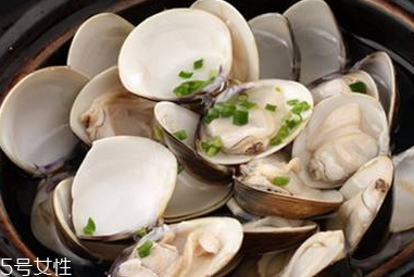 文蛤和蛤蜊是一樣的嗎？