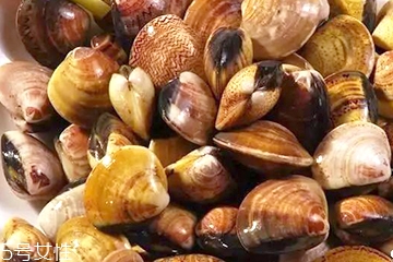 文蛤一定要煮熟嗎？文蛤能不煮熟嗎？