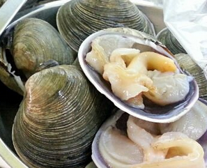 文蛤的熱量 文蛤吃了會長胖嗎？