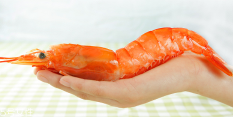 阿根廷紅蝦是海蝦嗎？阿根廷紅蝦是海里的嗎？
