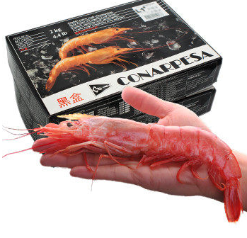 阿根廷紅蝦能白灼嗎？白灼阿根廷紅蝦好吃嗎？