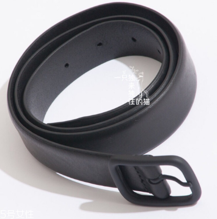 皮帶上的環(huán)叫什么名字？皮帶上的環(huán)在哪買(mǎi)？