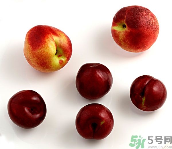 李子和灰子的區(qū)別？灰子的功效與作用