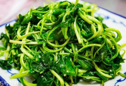 馬蘭頭是什么？什么是馬蘭頭？