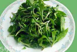 馬蘭頭對(duì)人的好處？馬蘭頭有什么好處？