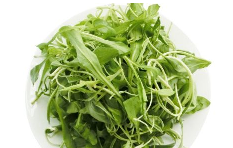 馬蘭頭是馬齒莧嗎？馬蘭頭和馬齒莧的區(qū)別