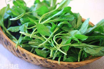 馬蘭頭的營養(yǎng)價值 馬蘭頭有什么營養(yǎng)？