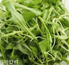 馬蘭頭的禁忌人群 馬蘭頭的適宜人群 馬蘭頭的禁忌人群 馬蘭頭的適宜人群