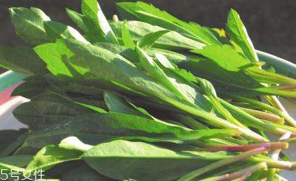 馬蘭頭怎么清洗？怎么洗馬蘭頭？