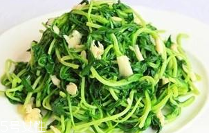 馬蘭頭能給孕婦吃嗎？孕婦能吃馬蘭頭嗎？