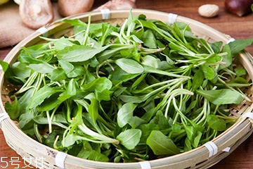 馬蘭頭可以煮魚湯嗎？馬蘭頭怎么煮魚湯