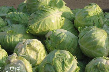 牛心菜是卷心菜嗎？牛心菜和卷心菜的區(qū)別