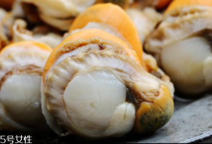 扇貝肉要煮多長時(shí)間？扇貝肉要煮幾分鐘？